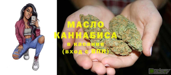 индика Бронницы