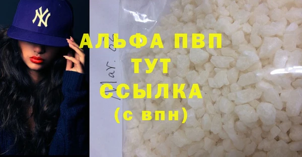 индика Бронницы