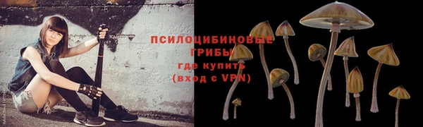 индика Бронницы