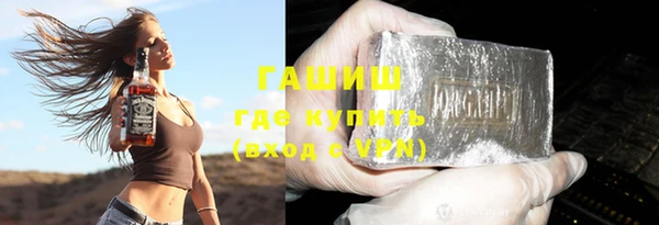 индика Бронницы