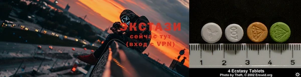 индика Бронницы