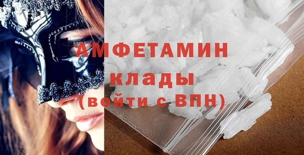 индика Бронницы