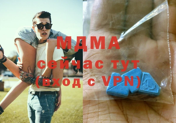 индика Бронницы