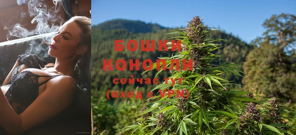 индика Бронницы