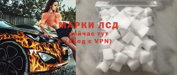стафф Бородино