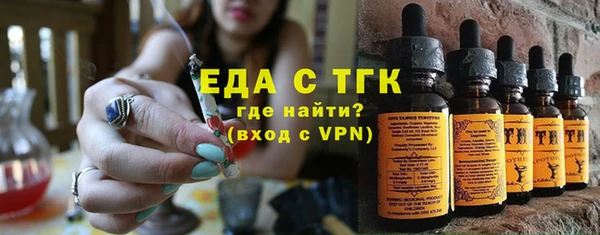 индика Бронницы