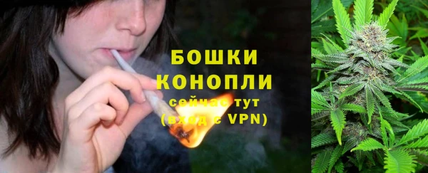 стафф Бородино