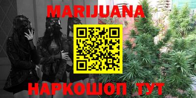 шишки Балашиха