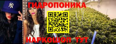 амф Будённовск