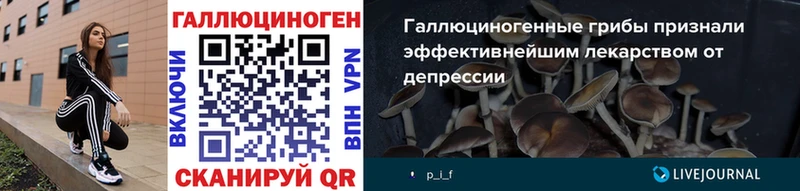 Псилоцибиновые грибы мицелий  Вольск 
