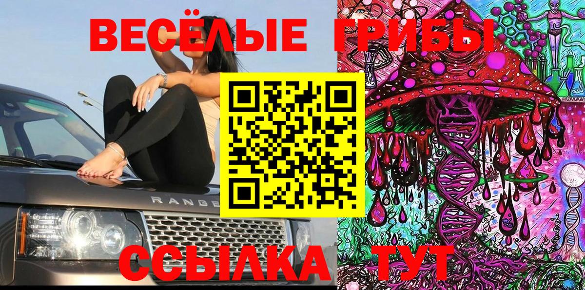 Псилоцибиновые грибы мухоморы  Вольск  Галлюциногенные грибы MAGIC MUSHROOMS 