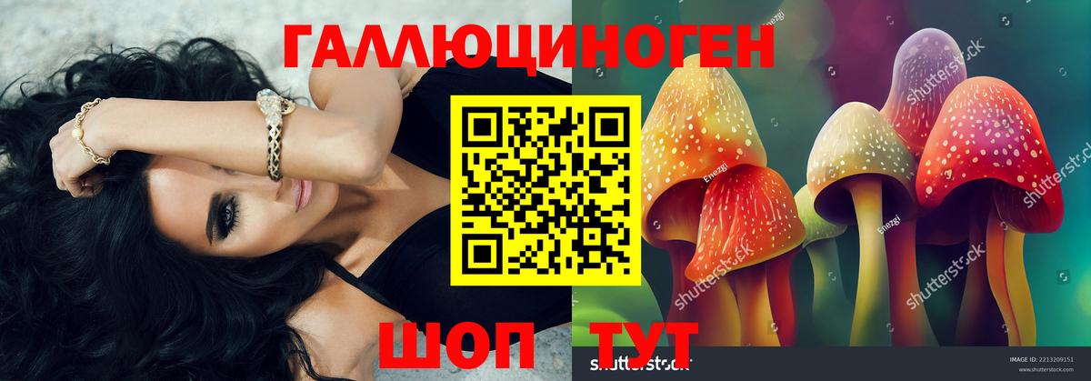 Псилоцибиновые грибы Cubensis Вольск