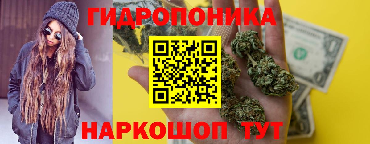 Конопля OG Kush  Вольск  Канабис планчик  Канабис тримм  Бошки марихуана THC 21% 